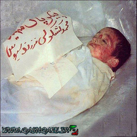 شهدای قشقایی در پرواز  ۶۵۵