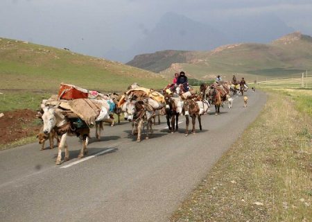پیچ و خم مشکلات در مسیر کوچ/ عشایر چشم‌به‌راه حمایت بیشترند